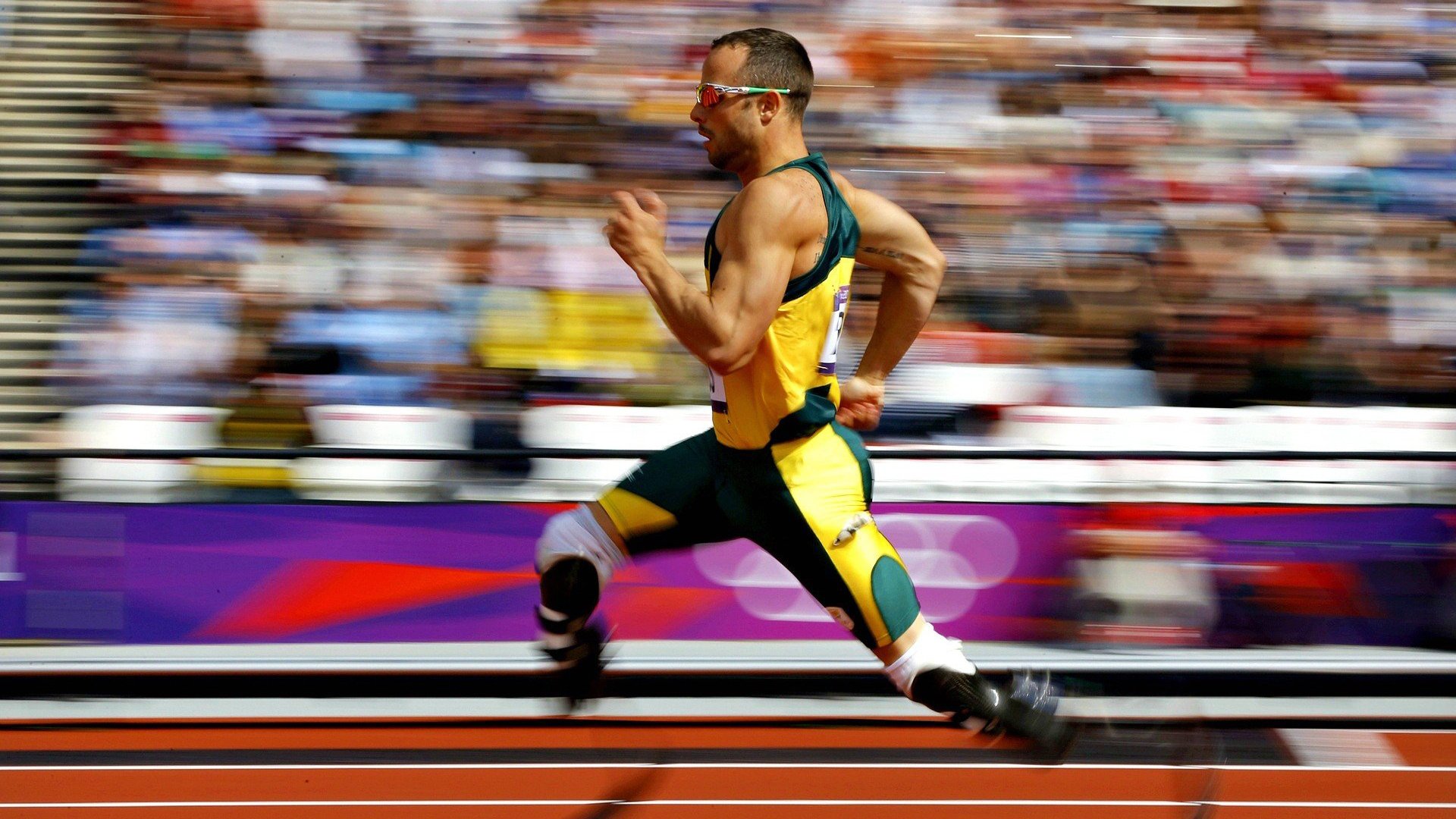 退役运动员支持计划帮助其转型就业,关于进一步做好退役运动员就业安置工作的意见